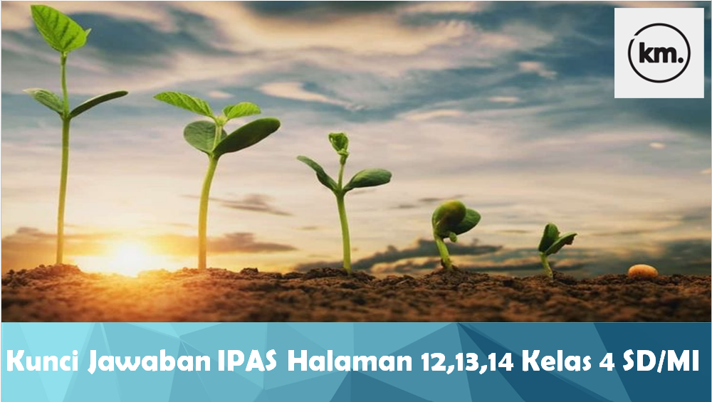 Kunci Jawaban IPAS Halaman 12,13,14 Kelas 4 SD/MI