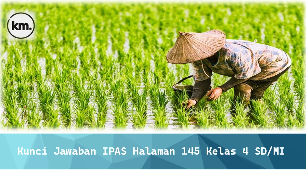 Kunci Jawaban IPAS Halaman 145 Kelas 4 SD/MI