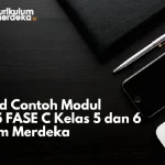 Download Contoh Modul Projek P5 FASE C Kelas 5 dan 6 Kurikulum Merdeka
