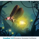 Gambar 1.4 Kunang-kunang terbang Kegiatan 2 Perbandingan Antara Informasi Pada LHO dan Teks Eksplanasi, Bahasa Indonesia Kelas X
