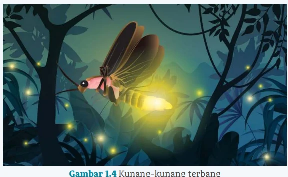 Gambar 1.4 Kunang-kunang terbang Kegiatan 2 Perbandingan Antara Informasi Pada LHO dan Teks Eksplanasi, Bahasa Indonesia Kelas X