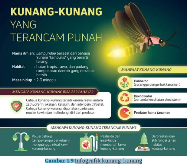 Gambar 1.9 Infografik kunang-kunang Mempresentasikan Laporan