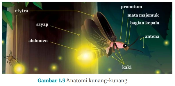 Kegiatan 3 Mencari Makna Istilah Menggunakan Kamus, Ensiklopedia, atau Tesaurus, Bahasa Indonesia Kelas X Menggunakan Kaidah Kebahasaan dalam Laporan Hasil Observasi