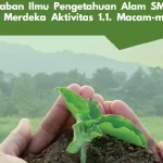 Kunci Jawaban Ilmu Pengetahuan Alam SMA Kelas X Kurikulum Merdeka Aktivitas 1.1. Macam-macam Alat Ukur