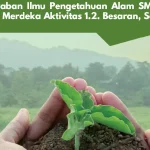 Kunci Jawaban Ilmu Pengetahuan Alam SMA Kelas X Kurikulum Merdeka Aktivitas 1.2. Besaran Satuan dan Dimensi