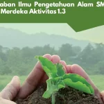 Kunci Jawaban Ilmu Pengetahuan Alam SMA Kelas X Kurikulum Merdeka Aktivitas 1.3