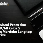 Link Download Prota dan Prosem SD MI kelas 2 Kurikulum Merdeka Lengkap Google Drive